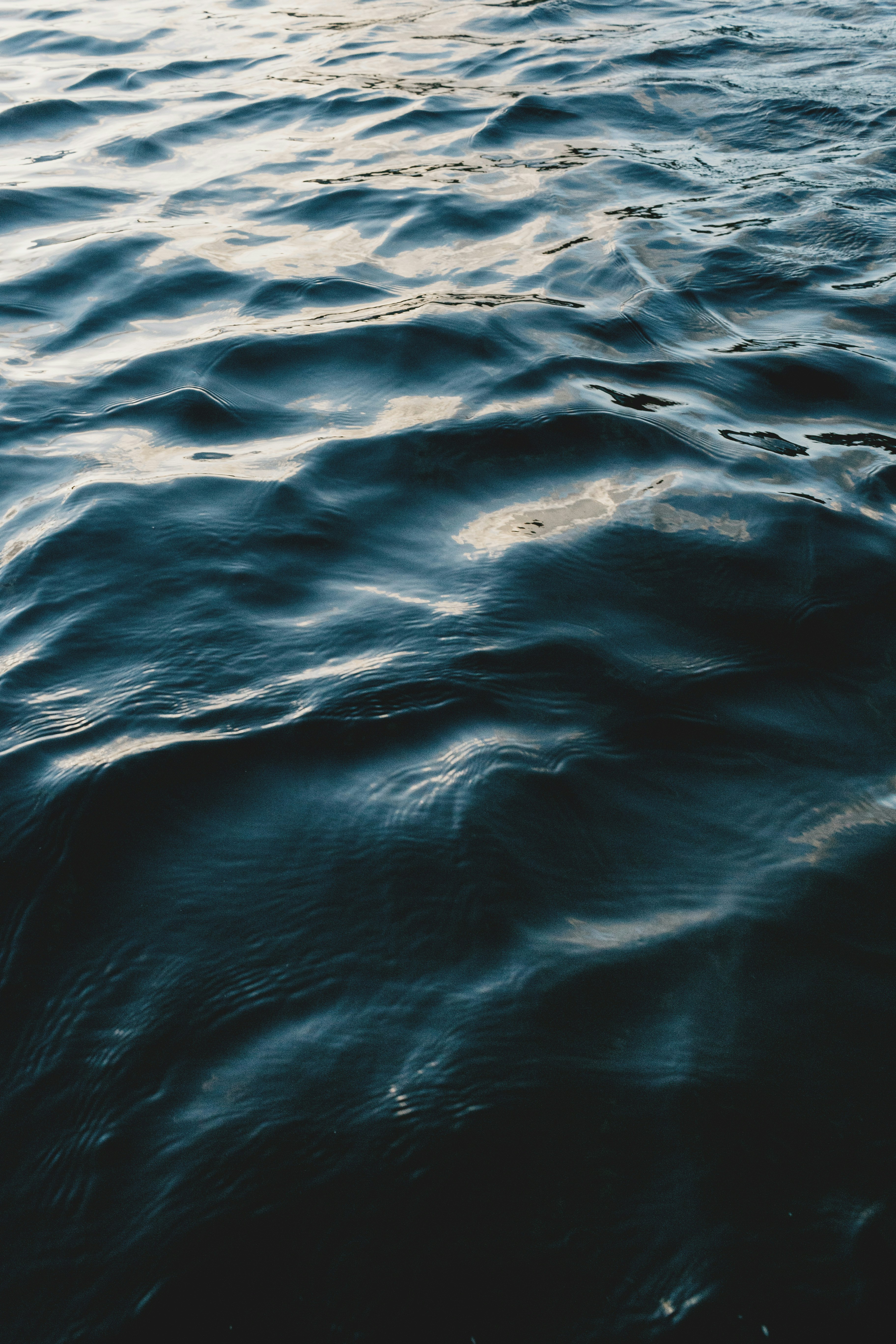 close up photo of body of water